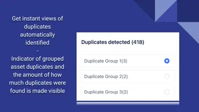 Asset Duplicates Manager for Jira for Atlassian — screenshot