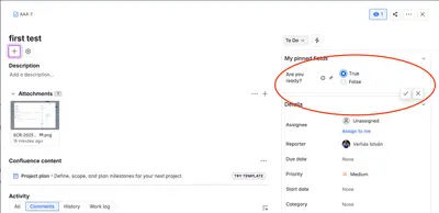 Boolean Custom Field Type for Atlassian — screenshot