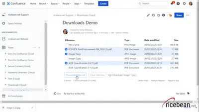 Downloads - Download Manager for Attachments for Atlassian — screenshot