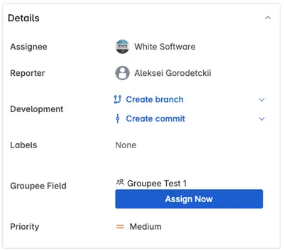 Groupee - Smart Group Assignment for Jira for Atlassian — screenshot