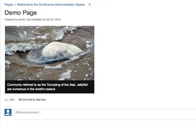 Image Captions for Confluence for Atlassian — screenshot