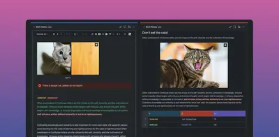Rich Text Editor: Notes Gadget for Jira for Atlassian — screenshot