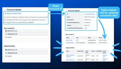Salesforce for Confluence for Atlassian — screenshot
