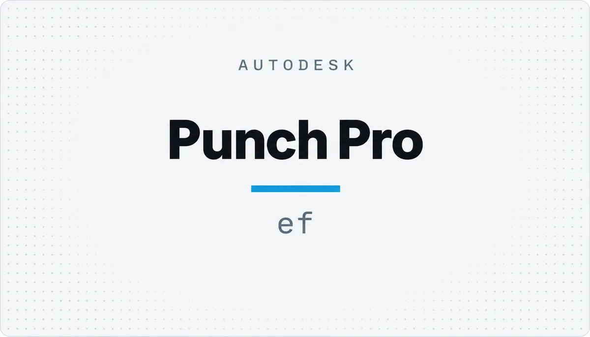 Punch Pro — cover image