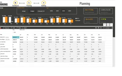 accoPLANNING - Writeback, Planning, Matrix for Microsoft 365 — screenshot