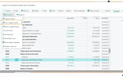Accruals and Simulated General Ledger for Microsoft 365 — screenshot