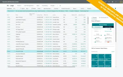 AI Customer Intelligence for Microsoft 365 — screenshot