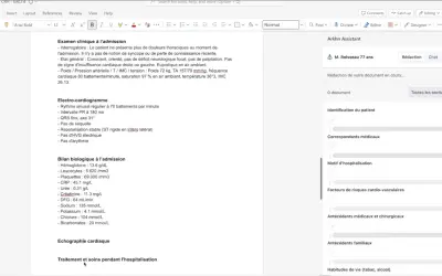 Arkhn Assistant for Microsoft 365 — screenshot