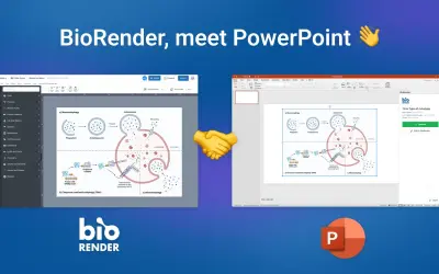 BioRender for PowerPoint for Microsoft 365 — screenshot