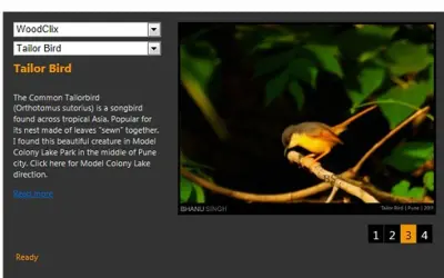 BS WordPress Blog Reader for Microsoft 365 — screenshot