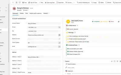Data Quality App for Non-Profits for Microsoft 365 — screenshot
