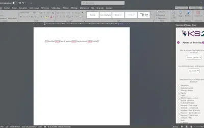 Extension KS2 pour Word for Microsoft 365 — screenshot