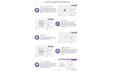 FeedbackFruits Tool Suite for Microsoft 365 — screenshot