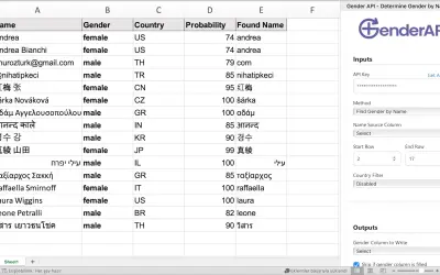GenderAPI.io | Identify Gender from Names in Excel for Microsoft 365 — screenshot