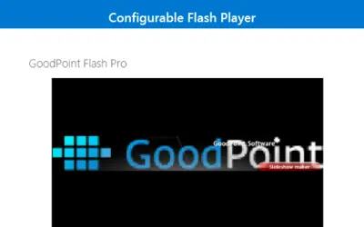 GoodPoint Flash Player Lite for Microsoft 365 — screenshot