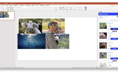 HIVO Add-in for Microsoft 365 — screenshot