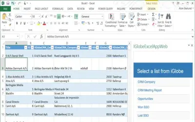 iGlobe CRM Excel Reporting Tool for Microsoft 365 — screenshot