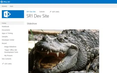 Image Slideshow for Microsoft 365 — screenshot
