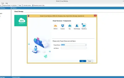 Kernel Cloud Backup for Salesforce for Microsoft 365 — screenshot