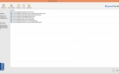 Kernel for Word Repair for Microsoft 365 — screenshot