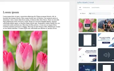 Lytho for Microsoft 365 — screenshot