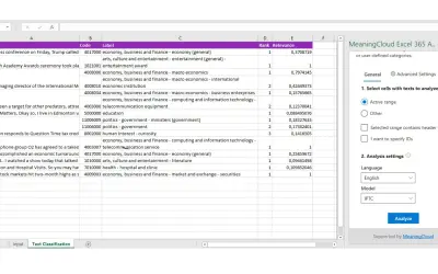 MeaningCloud Text Analytics for Excel for Microsoft 365 — screenshot