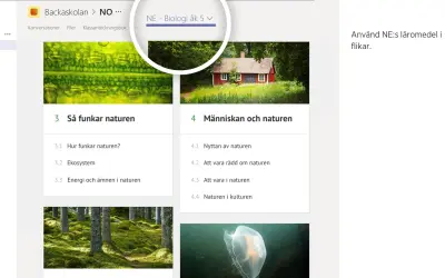 NE for Microsoft 365 — screenshot