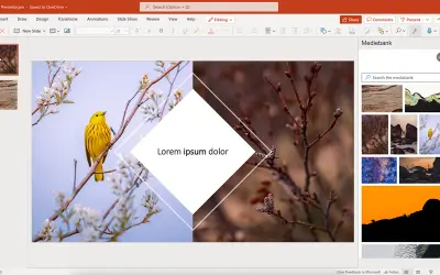 NTB Lens for Microsoft 365 — screenshot