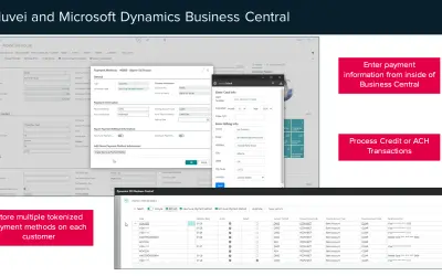 Nuvei Payments Interface for Microsoft 365 — screenshot