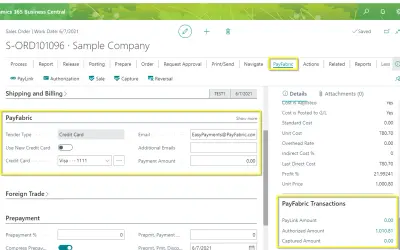 PayFabric - Secure Credit Card Processing for Microsoft 365 — screenshot