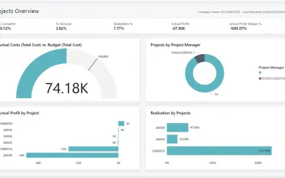Projects Power BI app for Business Central (26.2) for Microsoft 365 — screenshot
