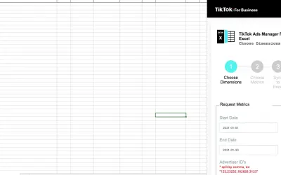 TikTok Ads Manager for Excel for Microsoft 365 — screenshot