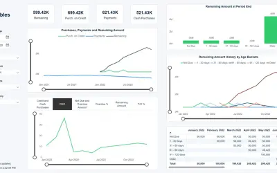 Wise BC Accounts Payable Insights for Microsoft 365 — screenshot