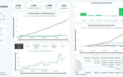 Wise BC Accounts Receivable Insights for Microsoft 365 — screenshot