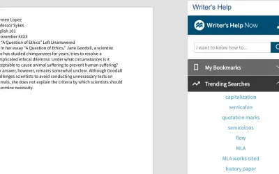 Writer’s Help Now, Hacker - Reference for Writers for Microsoft 365 — screenshot