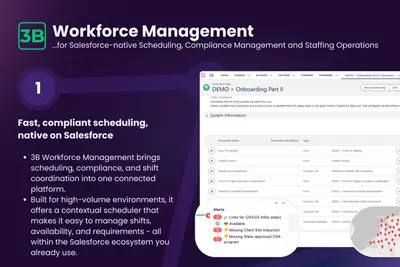 3B WFM - Scheduling, Timesheeting , Time and Attendance for Salesforce — screenshot