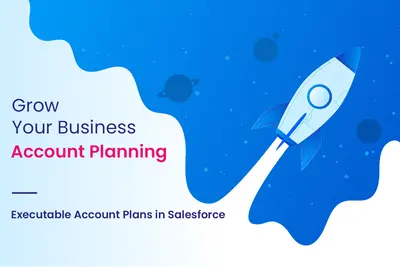 Account Planning by GSP for Salesforce — screenshot