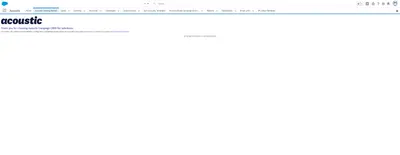 Acoustic Campaign CRMi: Increase Engagement and Attract New Customers for Salesforce — screenshot