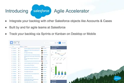 Agile Accelerator for Salesforce — screenshot