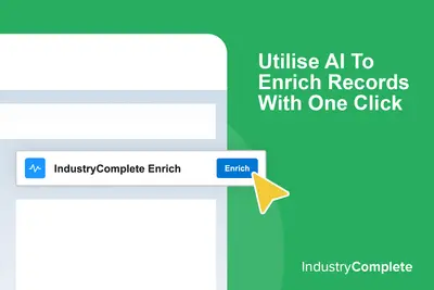 AI‑driven Industry Classification – Auto‑assign Industry field for Salesforce — screenshot