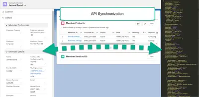 API Integration Utility for Salesforce — screenshot