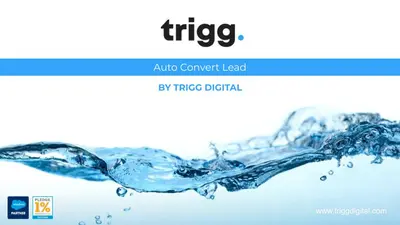 Auto Convert Lead by Trigg Digital for Salesforce — screenshot