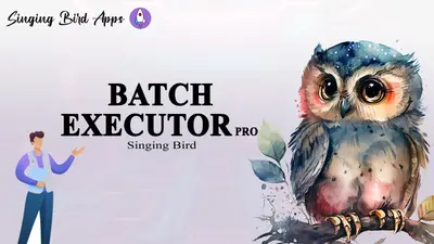 Batch Executor Pro for Salesforce — screenshot