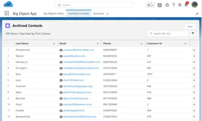 Big Object Utility | Cloudbat for Salesforce — screenshot