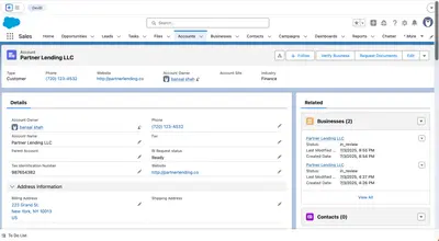 BizIntellect for Salesforce — screenshot