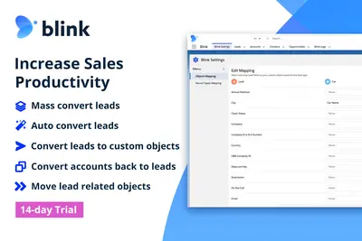 Blink: Mass Convert Leads, Convert Back to Leads, Convert with Related Records for Salesforce — screenshot