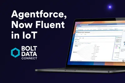 Bolt Data Connect for Agentforce for Salesforce — screenshot