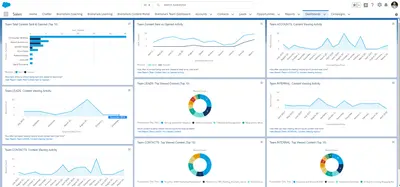 Brainshark Analytics for Salesforce: Performance Edition for Salesforce — screenshot