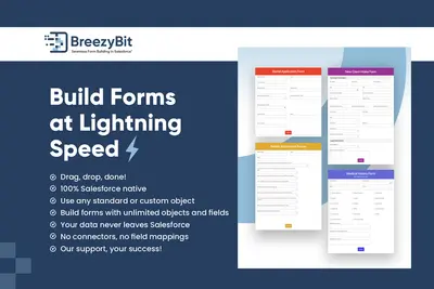 BreezyBit: 100% Native Form Builder for Salesforce for Salesforce — screenshot