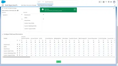 Bulk Objects And Fields Permissions Manager for Salesforce — screenshot